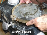 Blog Image - Pump Lid and O-ring (200 x 200)