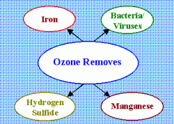 ozonetreats